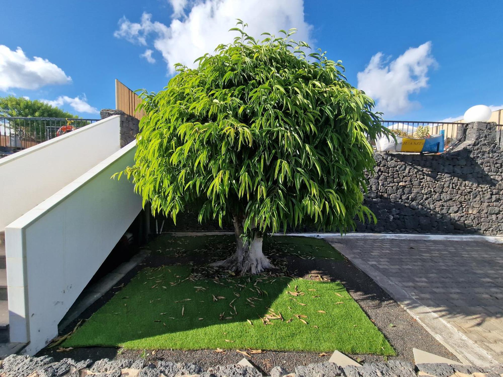Villa Juanita, Puerto Del Carmen, Lanzarote Tías Buitenkant foto